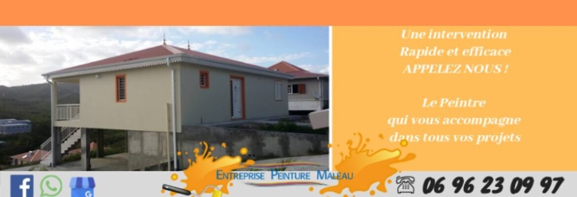 PEINTURE MALEAU