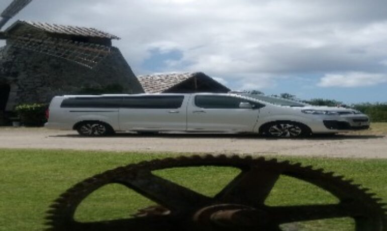 RODRIGUE TAXI : Le Marin Martinique – La Marina – Port de Plaisance