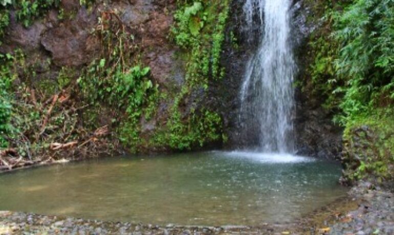 Casacade Saut Gendarme