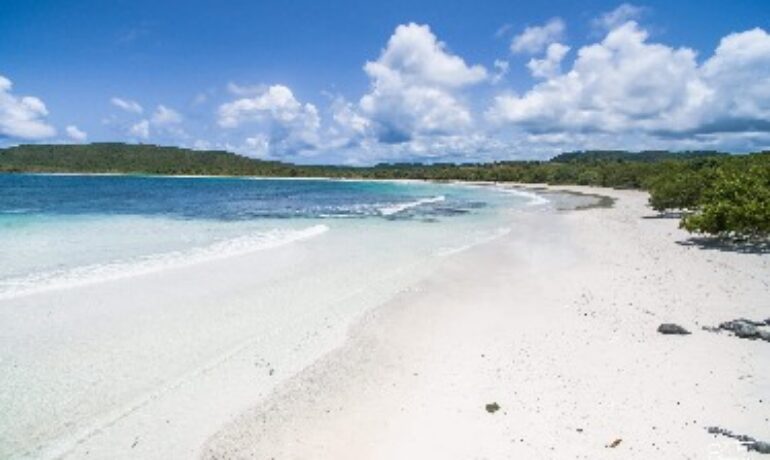 Plage de l’Anse Trabaud