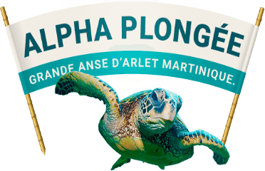 Alpha Plongée Martinique
