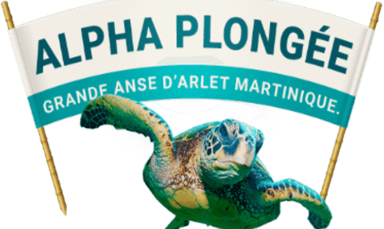 Alpha Plongée Martinique