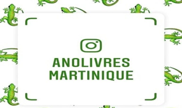 ANOLIVRES librairie jeunesse