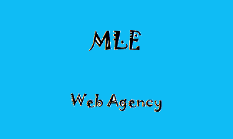 MLE WEB AGENCY